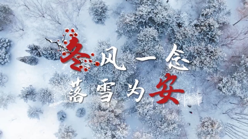 冬风一念 落雪为安